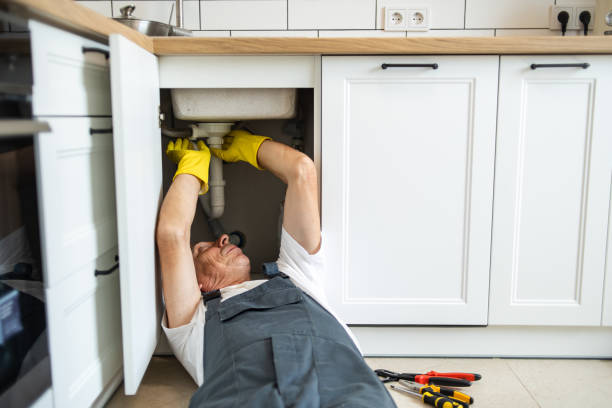 Best Plumbing Services Near Me  in Milan, TN