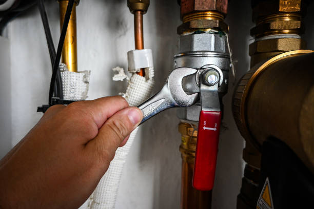 Best Emergency Plumber  in Milan, TN